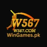 W567 Game